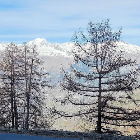 Cosy 5 Pers, Skis Aux Pieds, - Fr-1-353-65 *