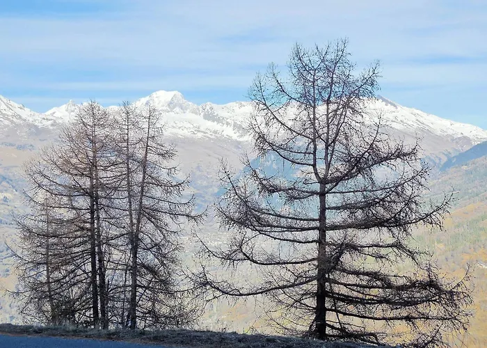 Cosy 5 Pers, Skis Aux Pieds, - Fr-1-353-65 *